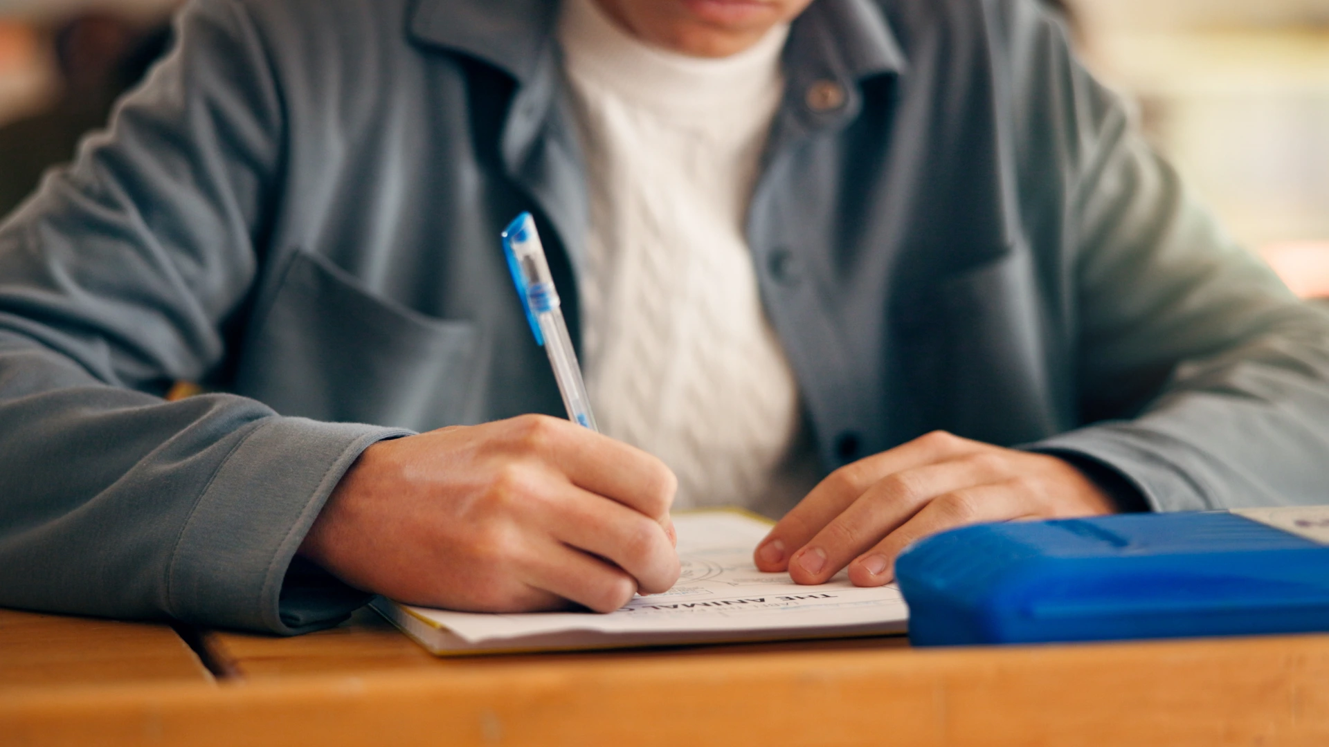 Essay and assignment guidance