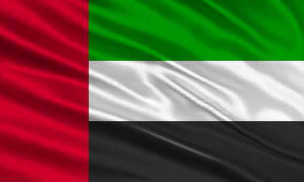 Dubai flag